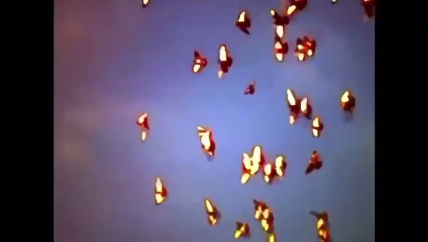 Vorschaubild: H4R4M · Clip 03
